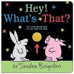 Hey! What's That? by Sandra Boynton