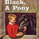 Little Black, a Pony by Walter Farley