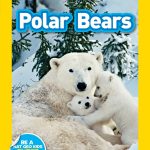 Polar Bears by Laura Marsh