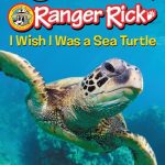 Ranger Rick: I Wish I Was a Sea Turtle by Jennifer Bové
